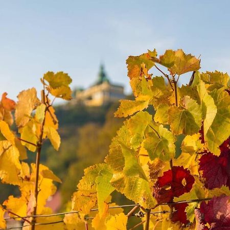 Villa Tiny Haus Auf Idyllischem Grundstueck Im Rittergut Klipphausen Esterno foto