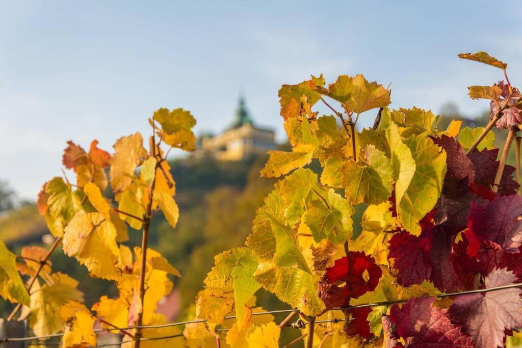 Villa Tiny Haus Auf Idyllischem Grundstueck Im Rittergut Klipphausen Esterno foto